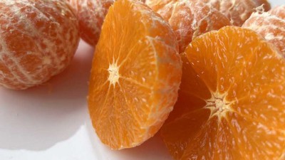 놓치면 후회! 제라진귤🍊 역대급 할인 & 솔직 후기