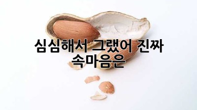 심심해서 그랬어: 진짜 속마음은?